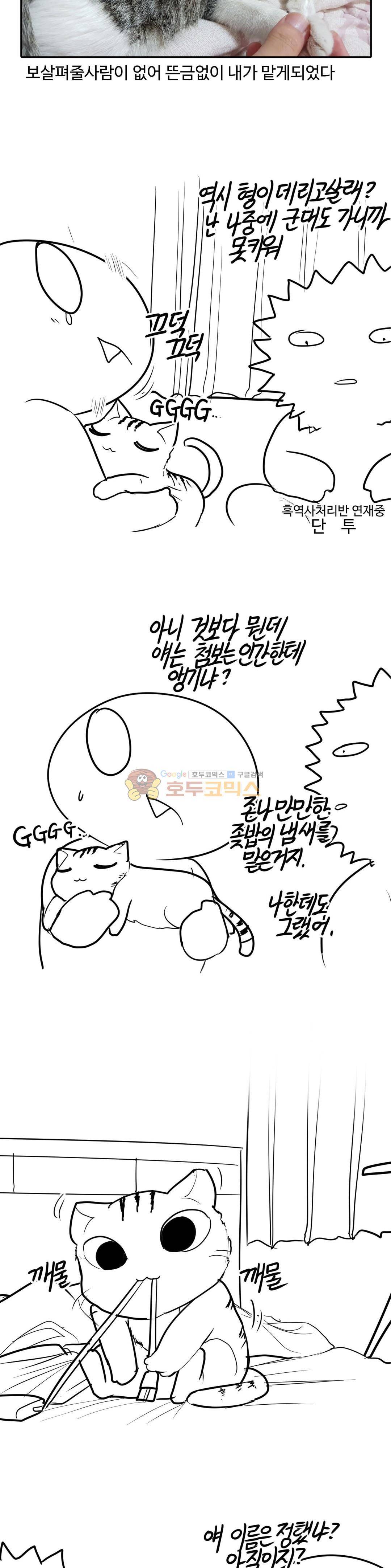 레바툰 159화 - 동거녀 생기는 만화 8