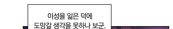 요신기 142화 404