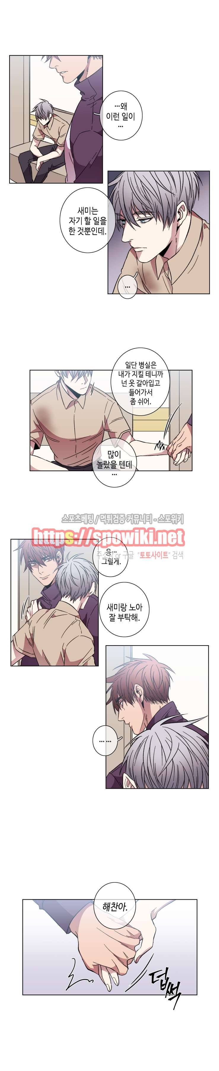 초롱아귀 43화 2