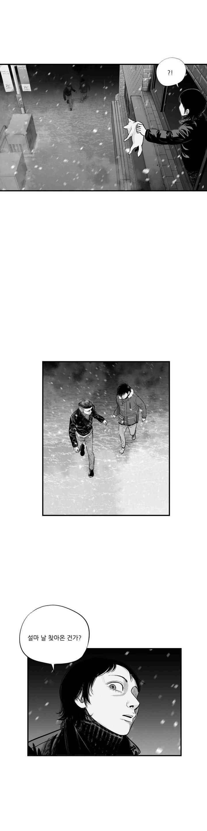 홀로 14화 2