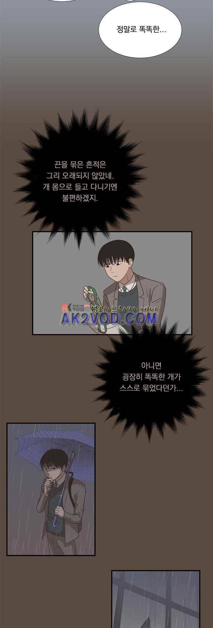 명예소녀의 추락 34화 9