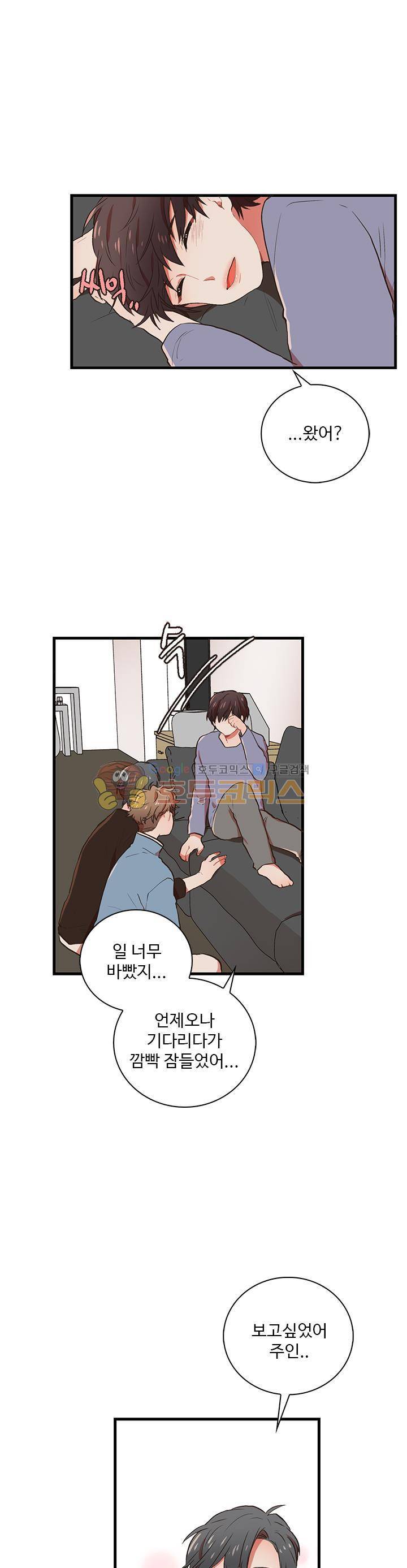 멍멍냥냥 34화 - 어긋나다 1