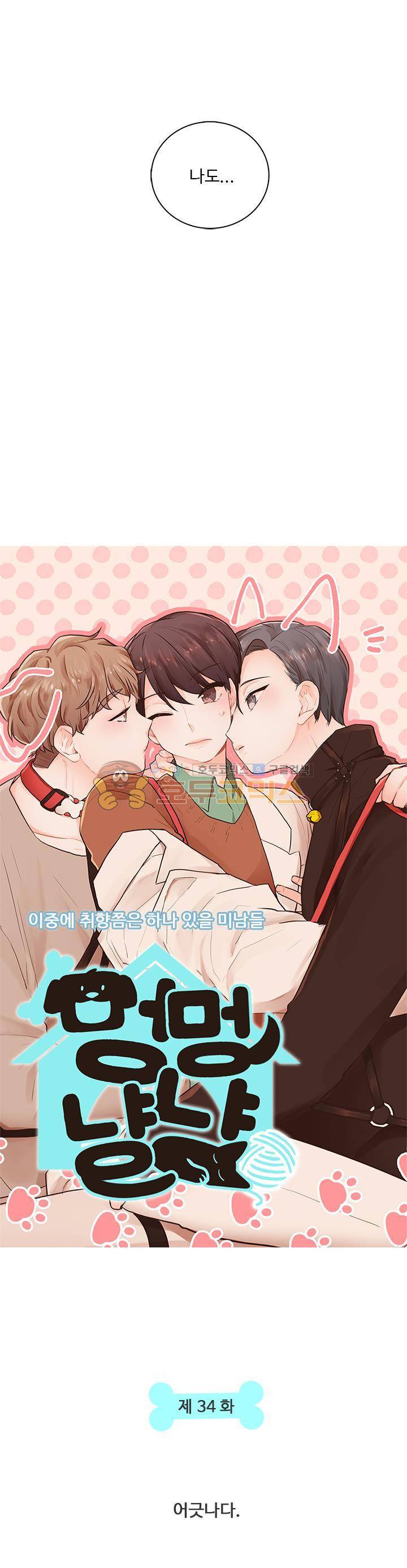 멍멍냥냥 34화 - 어긋나다 3