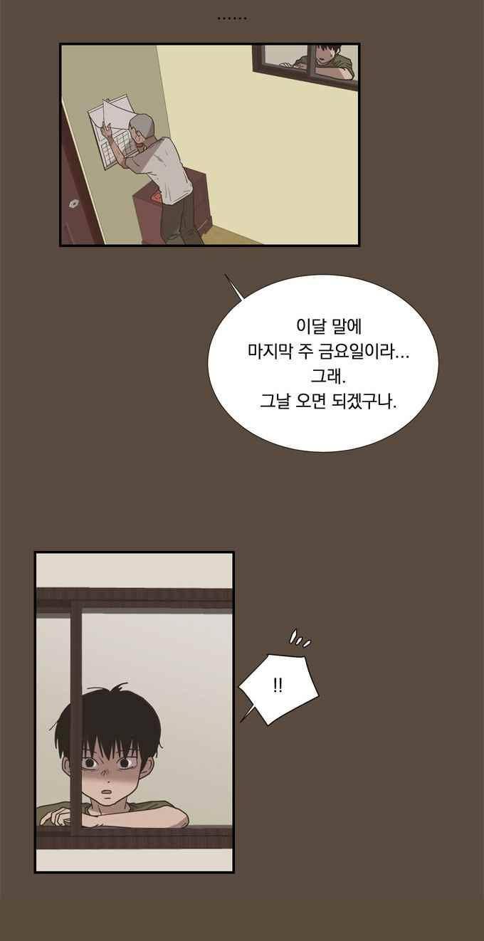 명예소녀의 추락 54화 15