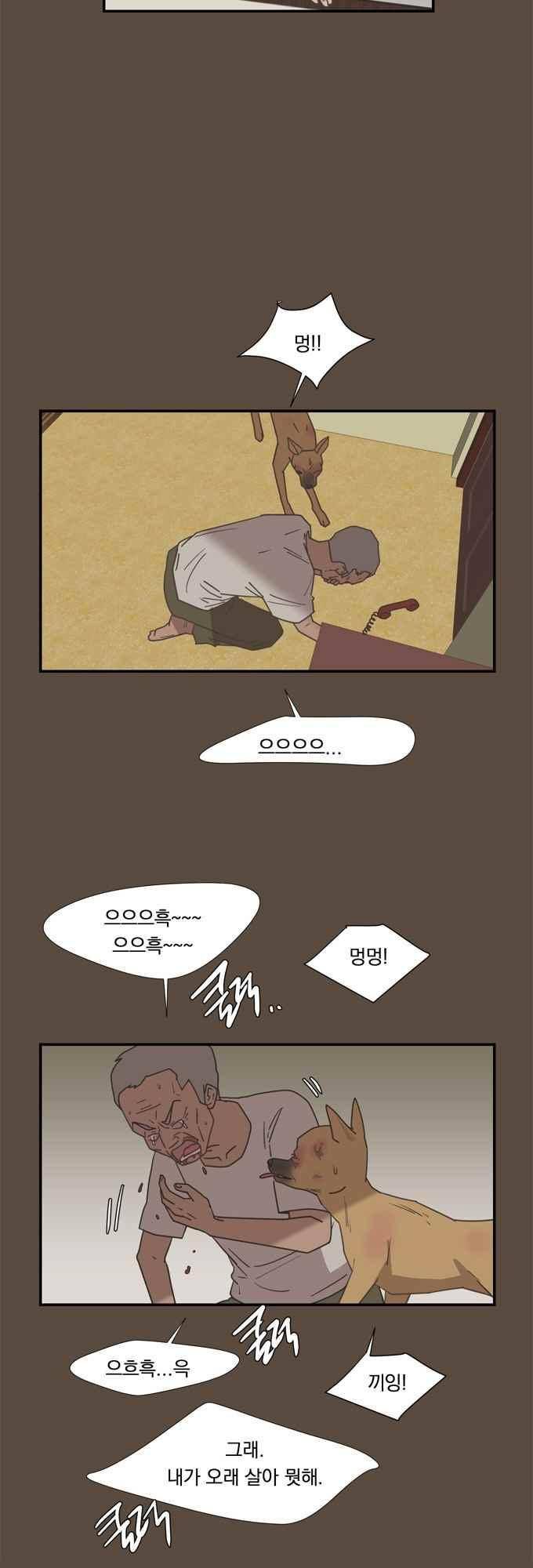 명예소녀의 추락 55화 5