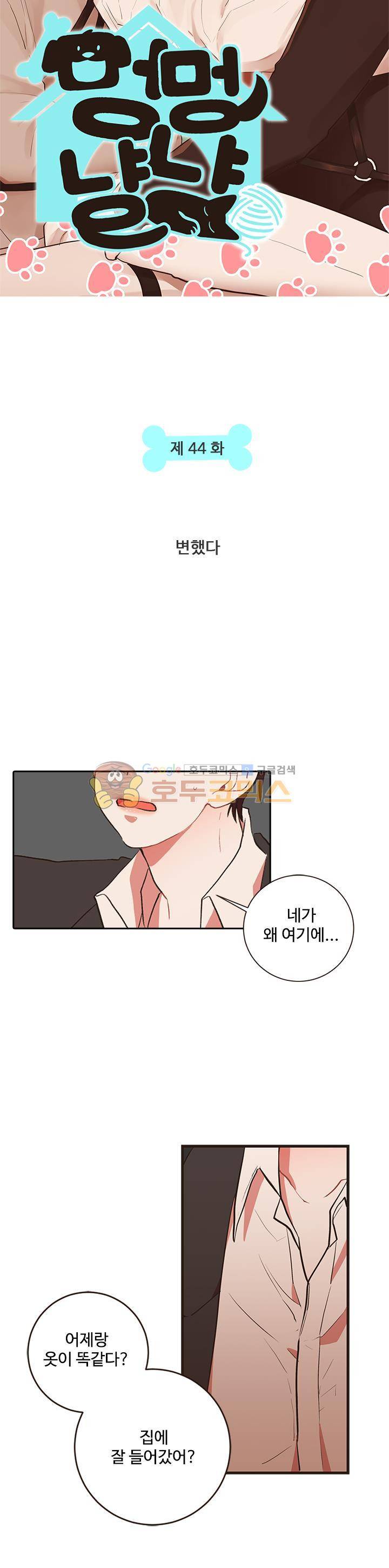 멍멍냥냥 44화 - 변했다 3