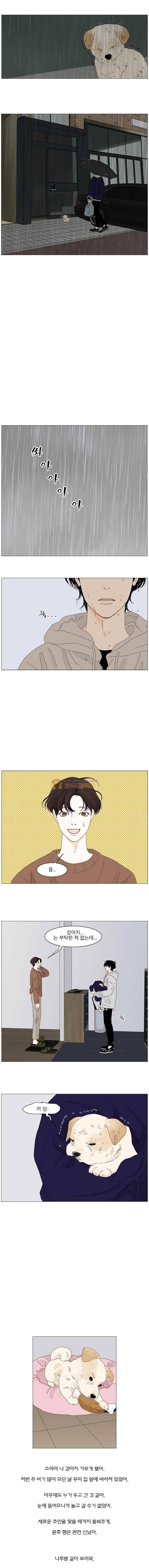 아쿠아맨 105화 2