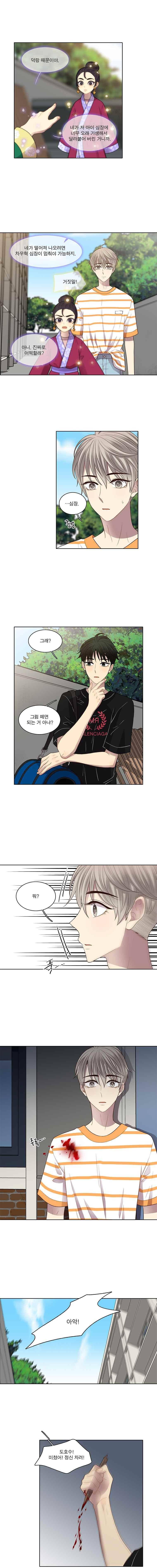 고양이 마마님 56화 2