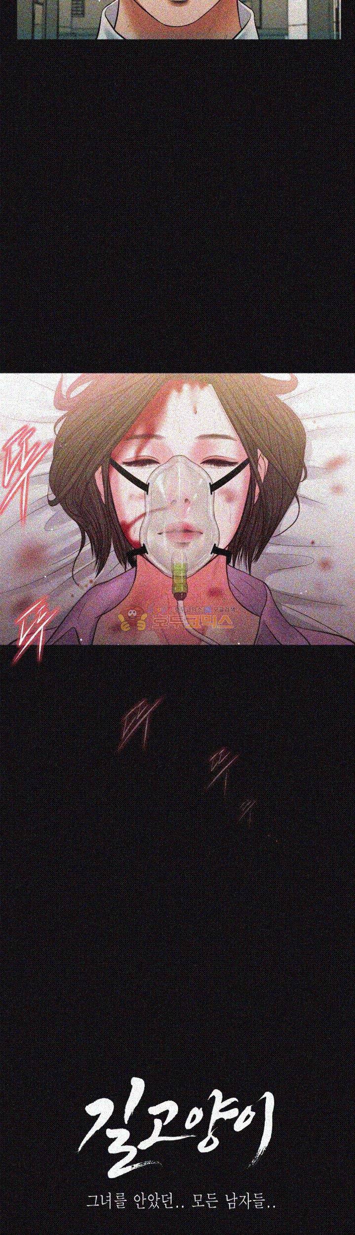 길고양이 39화 4