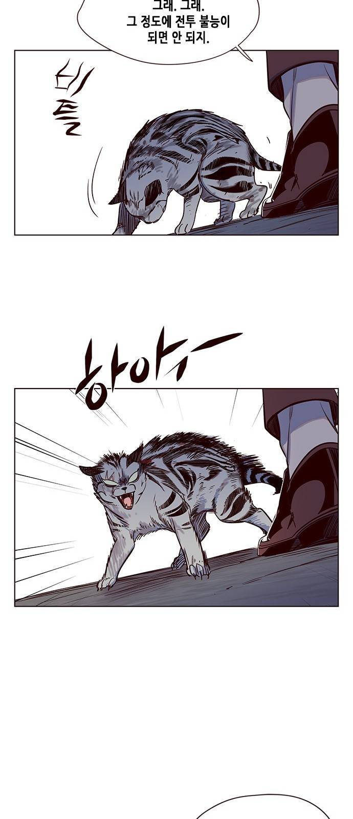 일렉시드 5화 45