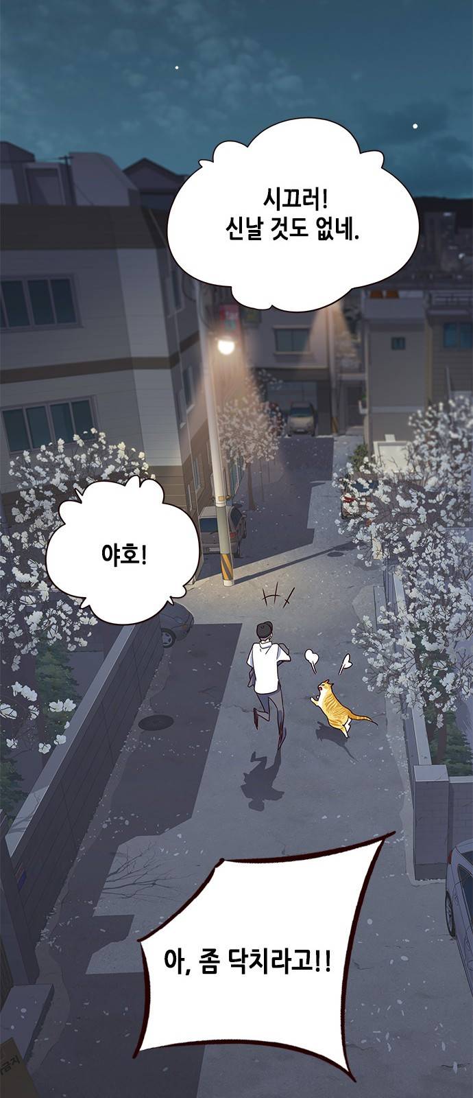 일렉시드 5화 74