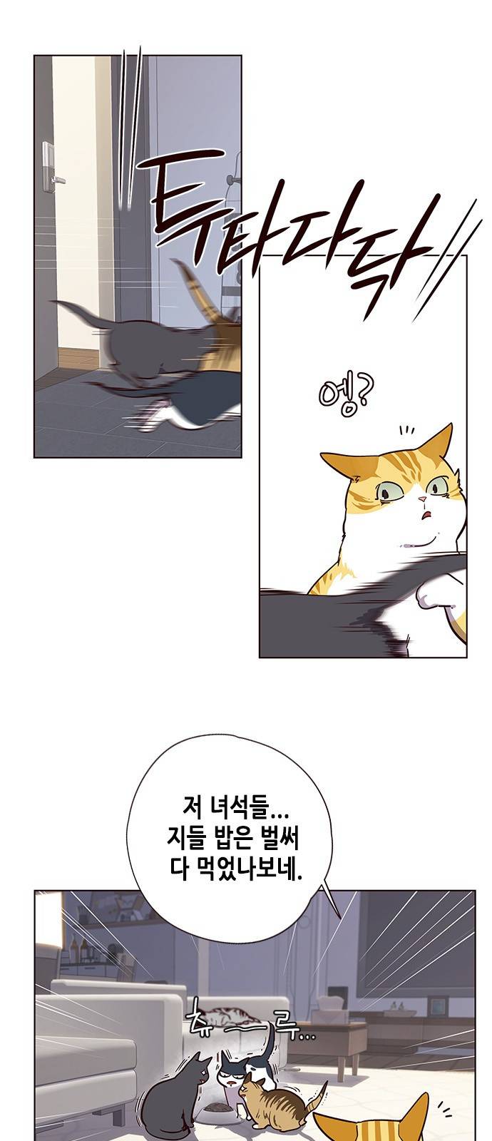 일렉시드 9화 19