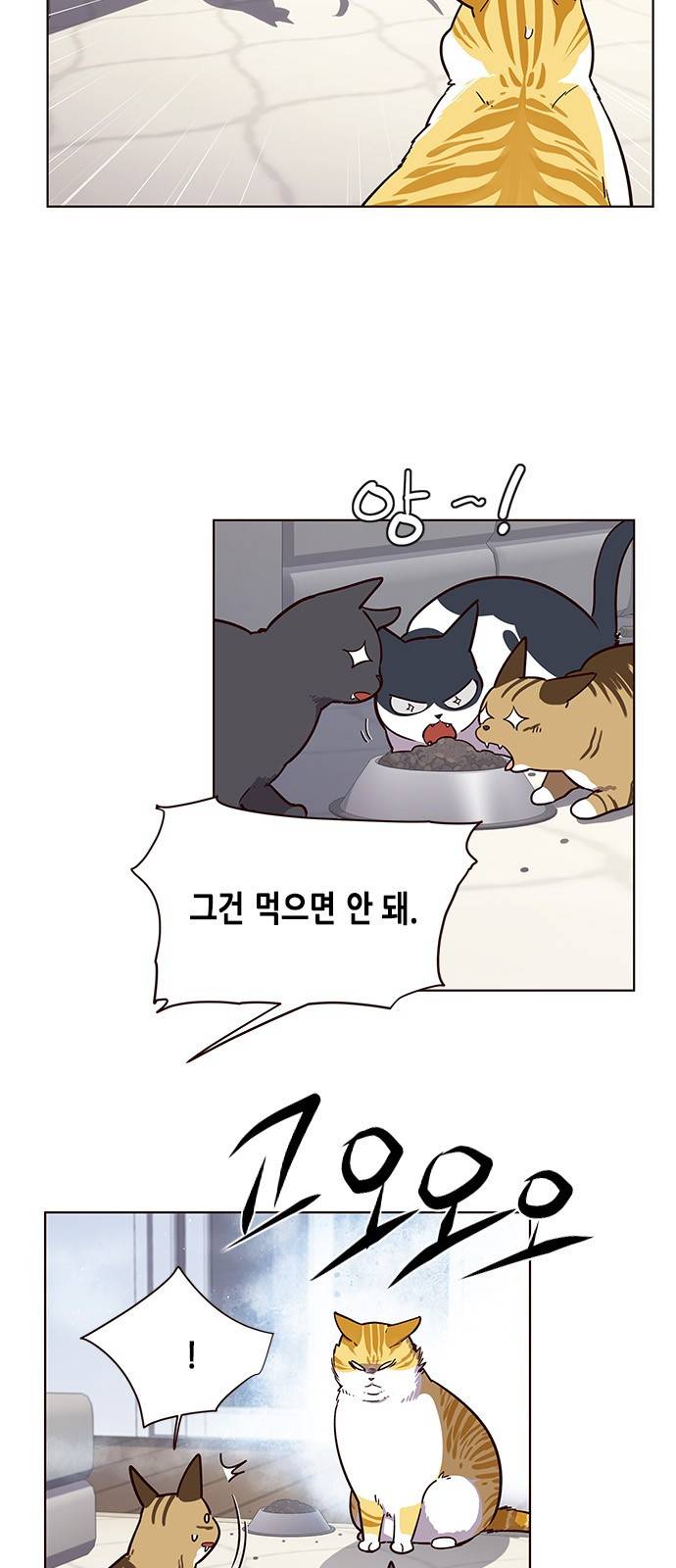 일렉시드 9화 20