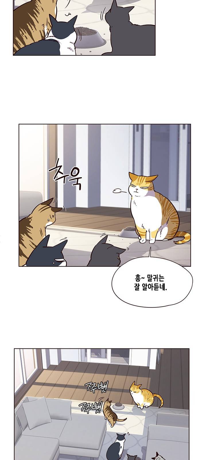 일렉시드 9화 21