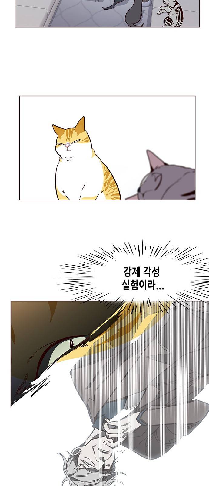 일렉시드 9화 22