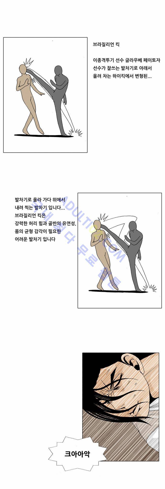 최강전설 강해효 (22) 17