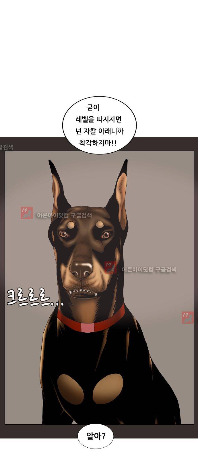 최강전설 강해효 (209) 27