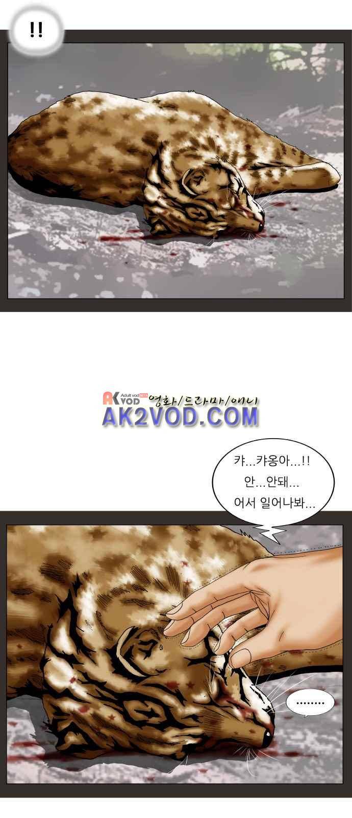 최강전설 강해효 (245) 23