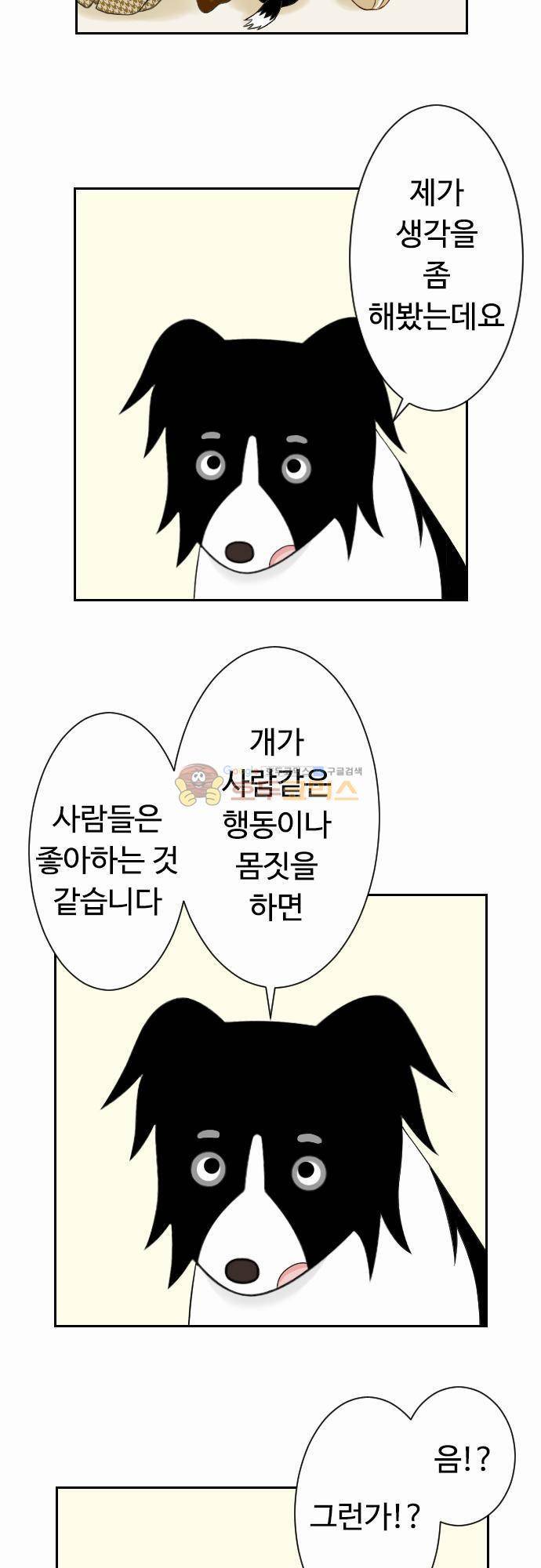 화이트 포메 63화 - 사람같은 행동 2