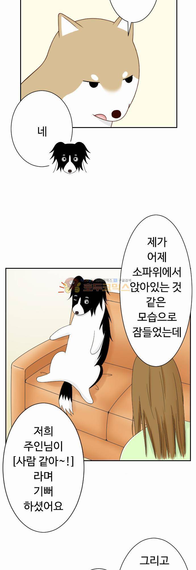 화이트 포메 63화 - 사람같은 행동 3