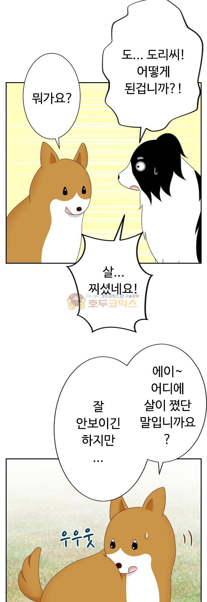화이트 포메 112화 - 다이어트 4