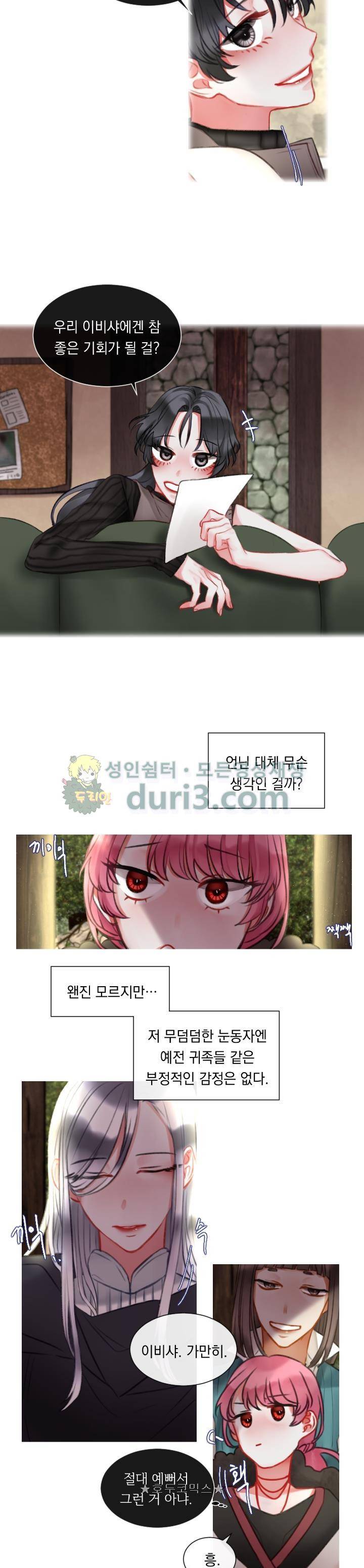 은의 공녀, 까마귀 공녀 14화 - 의뢰인의 정체 (3) 5