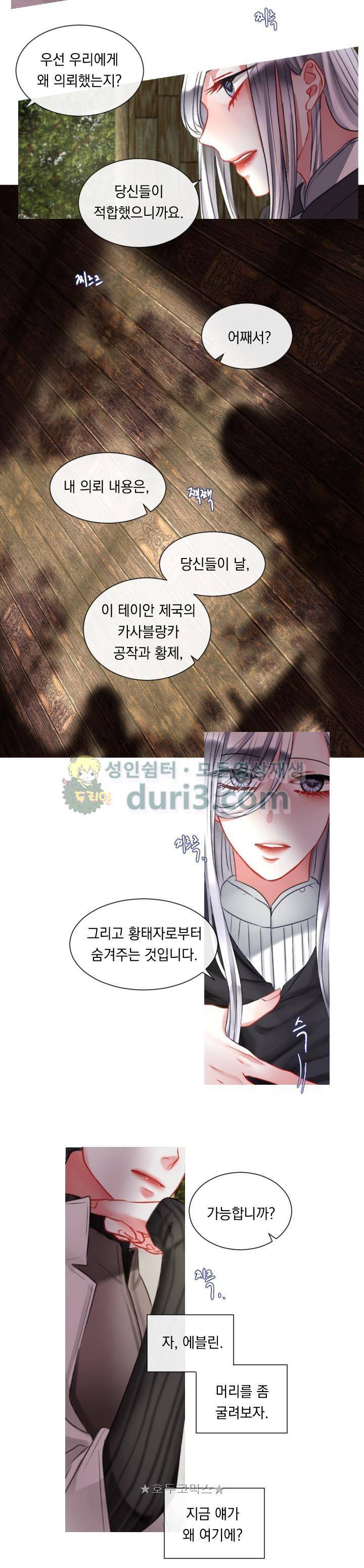 은의 공녀, 까마귀 공녀 14화 - 의뢰인의 정체 (3) 10