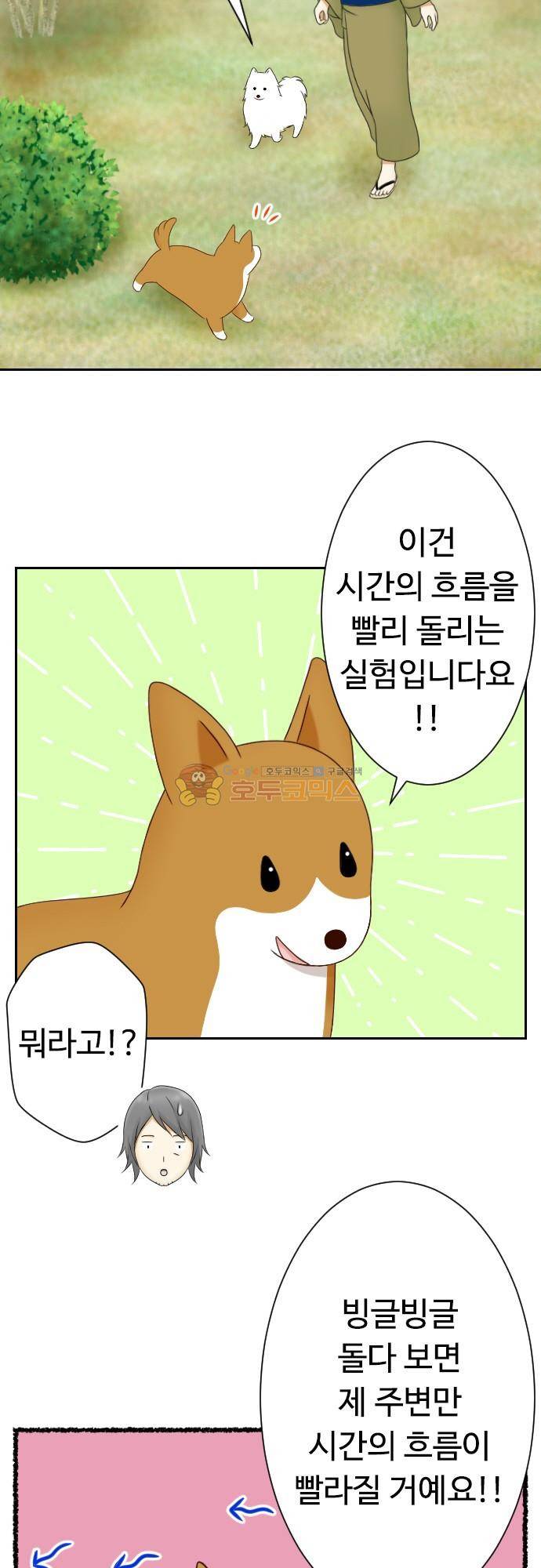화이트 포메 152화 - 짧은 이야기 (8) 3