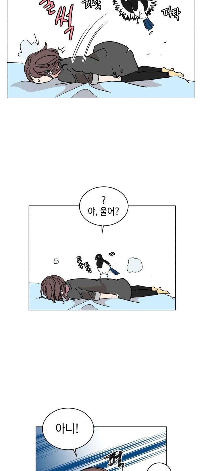참새는 새!신부 11화 6