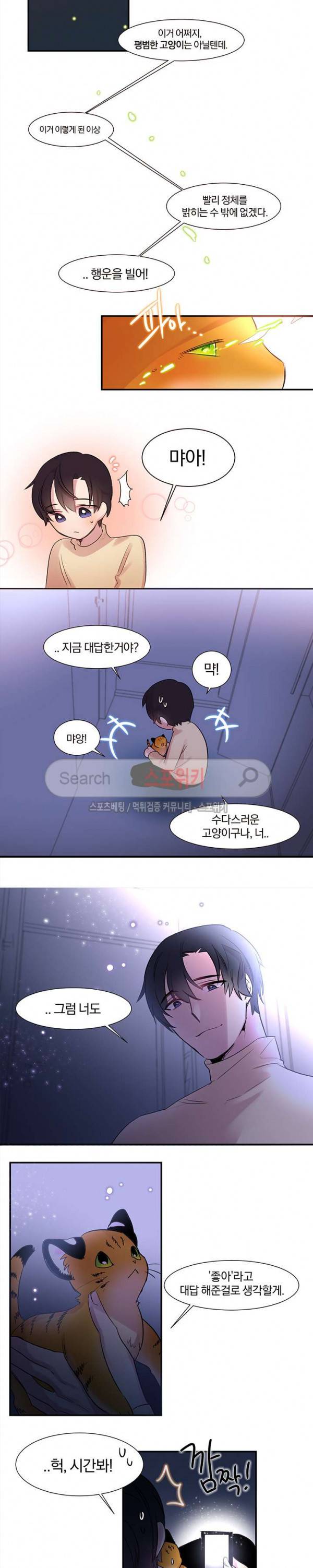 골판지 상자 안 고양이씨 1화 12