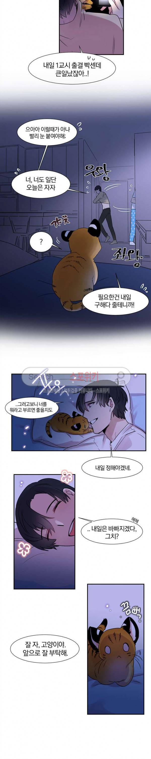 골판지 상자 안 고양이씨 1화 13