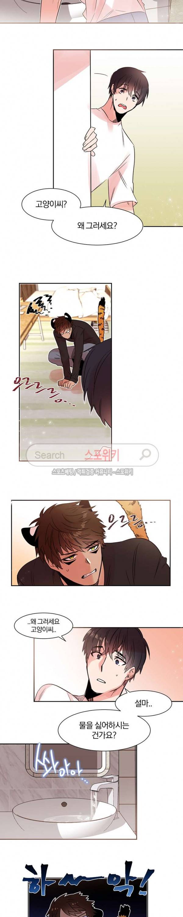 골판지 상자 안 고양이씨 9화 5
