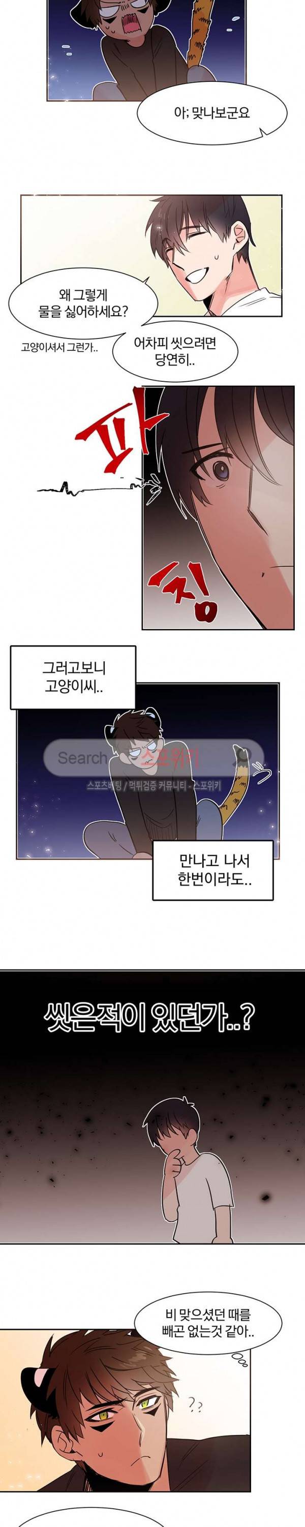 골판지 상자 안 고양이씨 9화 6