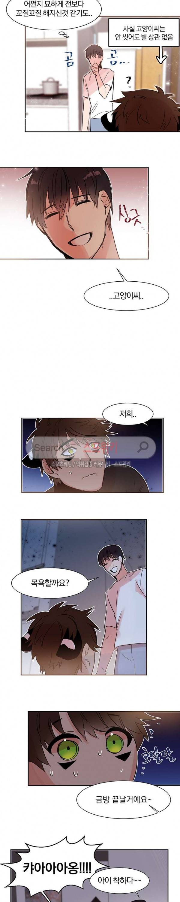 골판지 상자 안 고양이씨 9화 7