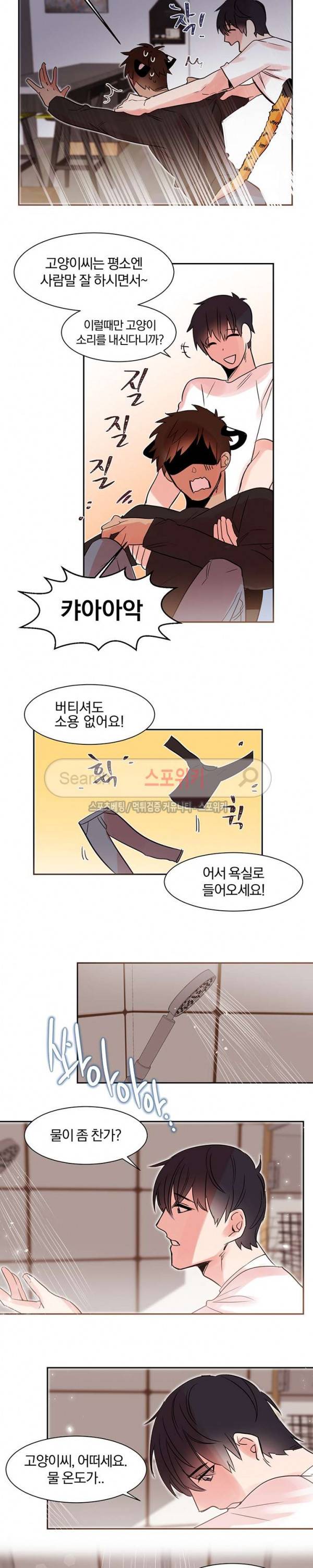 골판지 상자 안 고양이씨 9화 8
