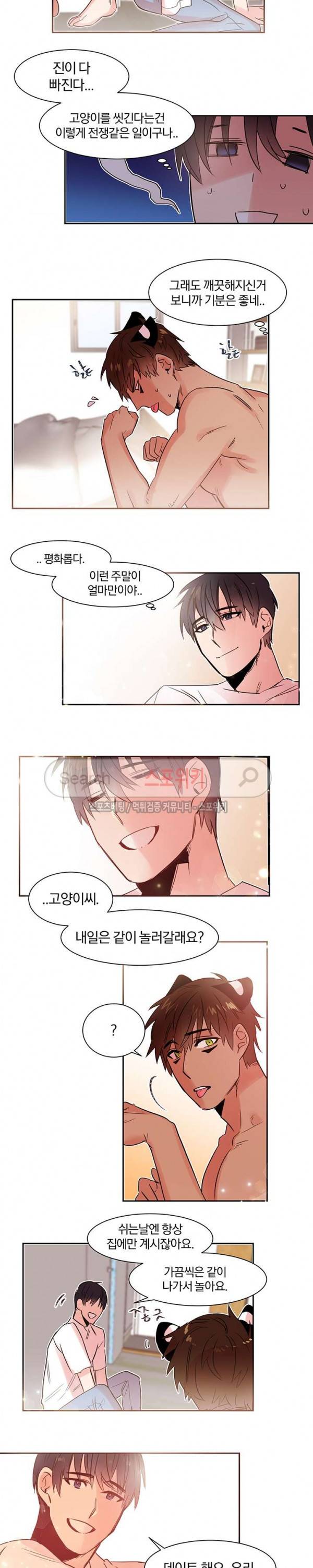 골판지 상자 안 고양이씨 9화 12