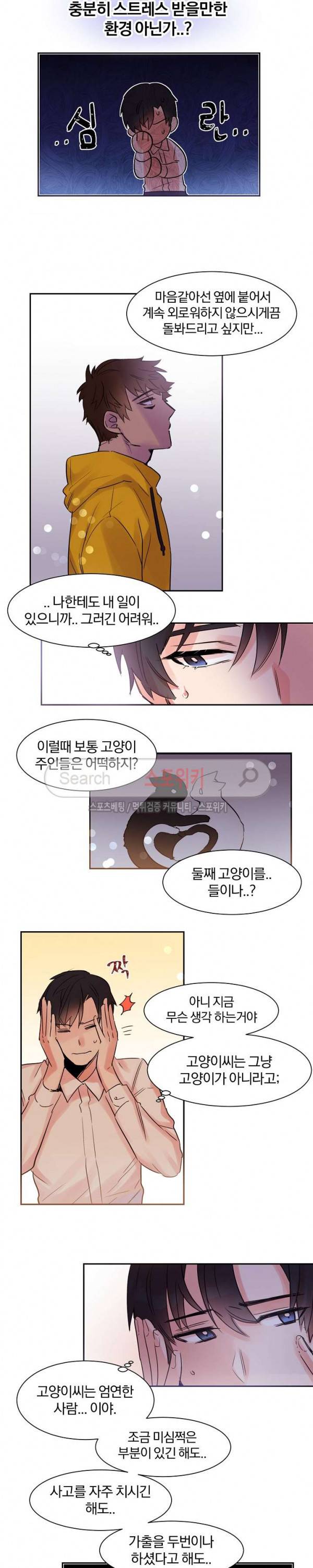 골판지 상자 안 고양이씨 12화 5