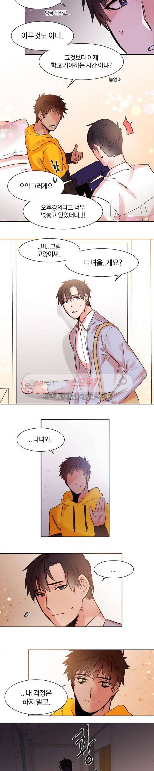골판지 상자 안 고양이씨 12화 9