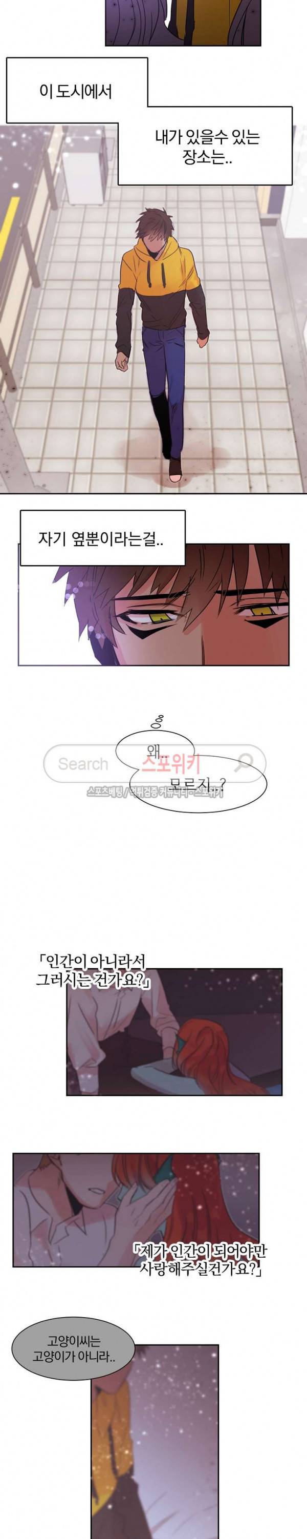 골판지 상자 안 고양이씨 12화 11