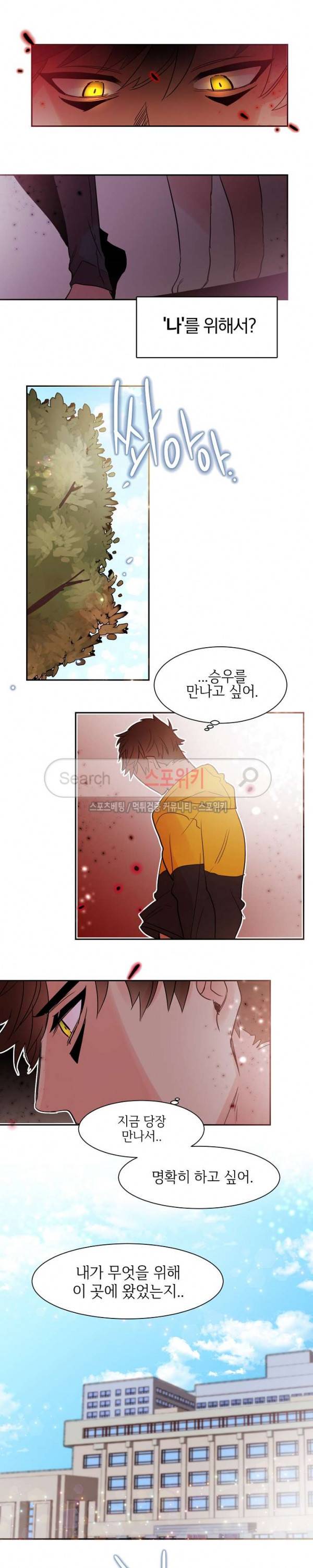 골판지 상자 안 고양이씨 12화 14