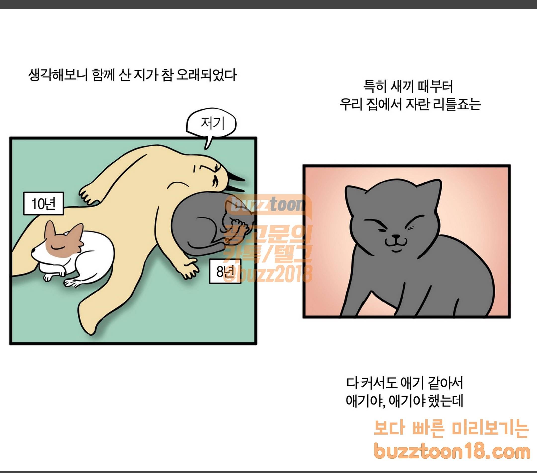 모죠의 일지 집에 외국인이 사는 것 같은 만화 1