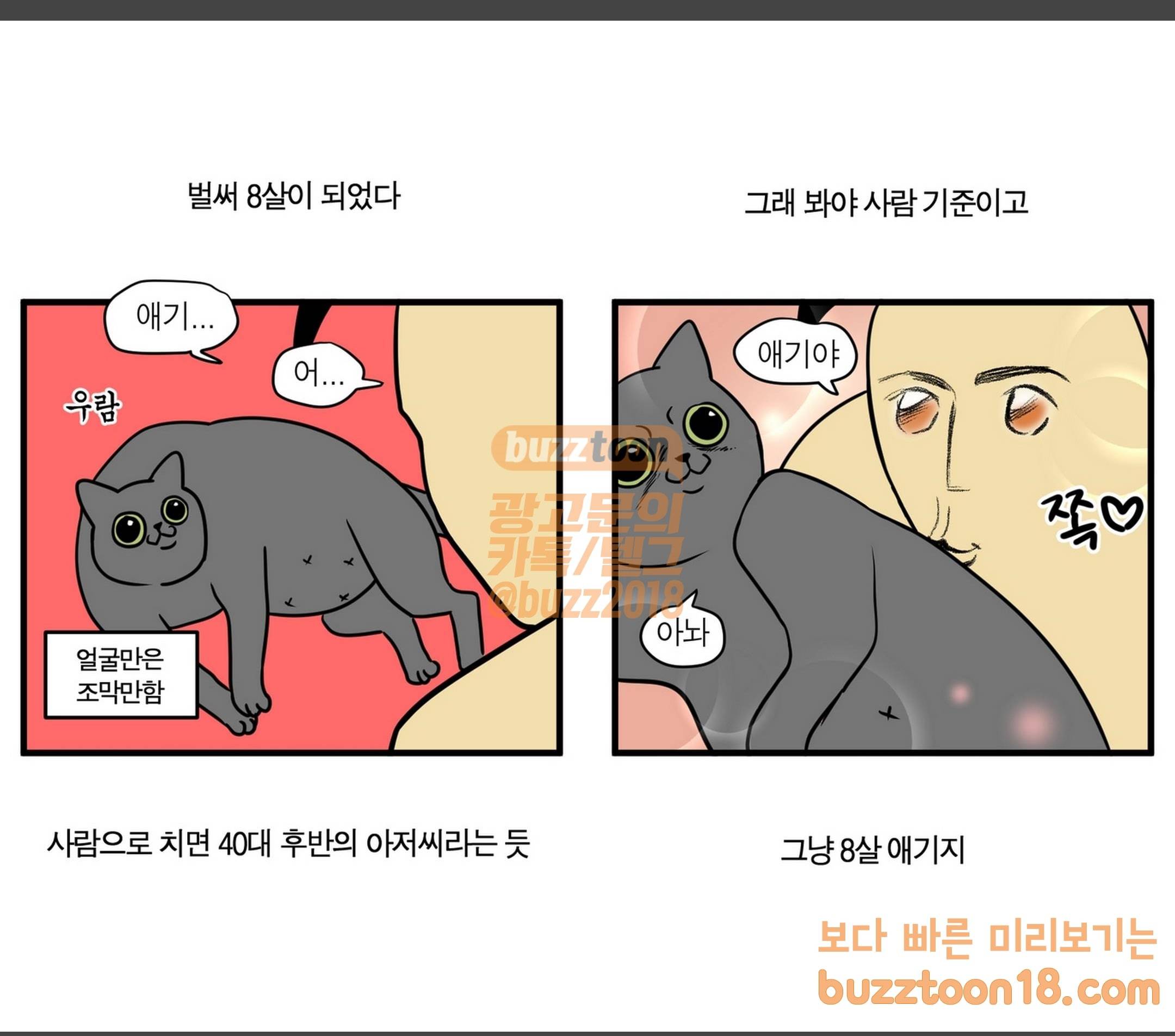 모죠의 일지 집에 외국인이 사는 것 같은 만화 2