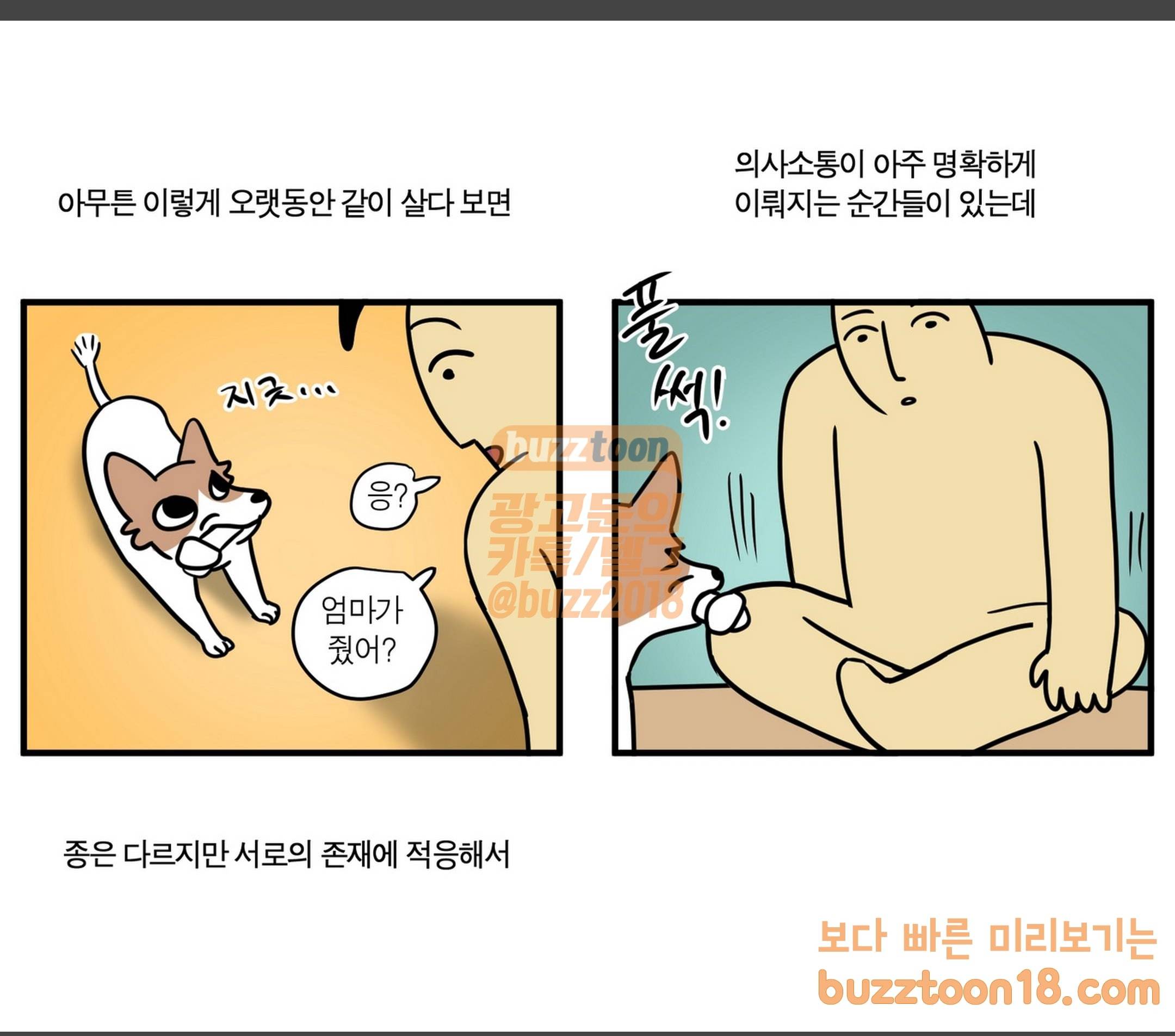 모죠의 일지 집에 외국인이 사는 것 같은 만화 3
