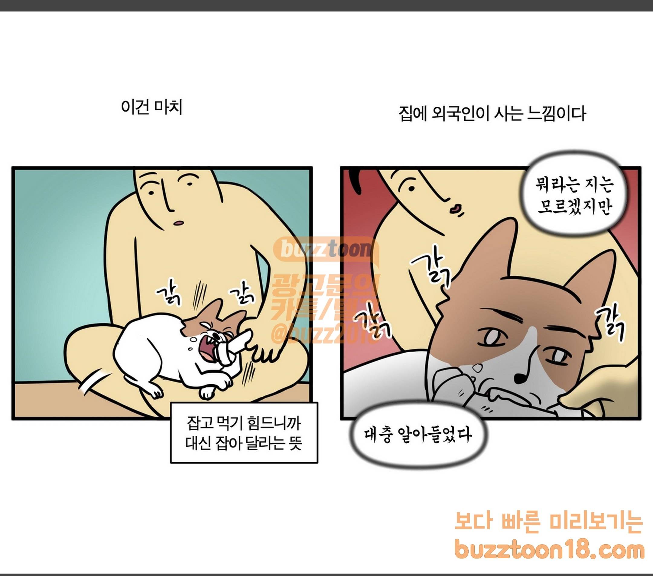 모죠의 일지 집에 외국인이 사는 것 같은 만화 4
