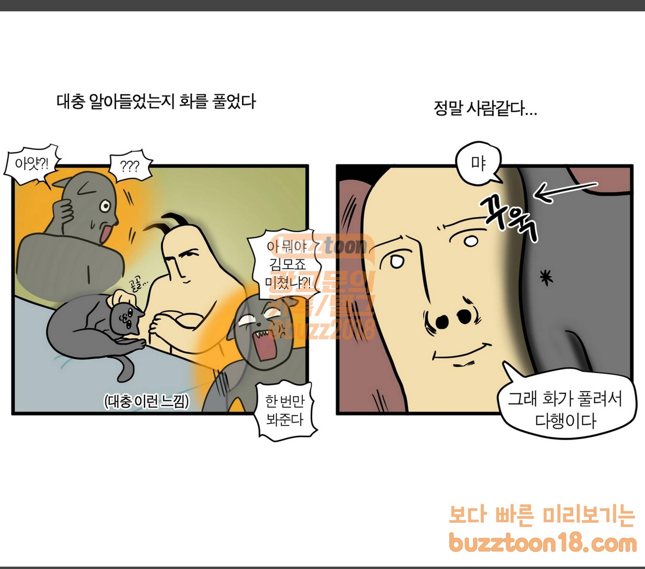 모죠의 일지 집에 외국인이 사는 것 같은 만화 12