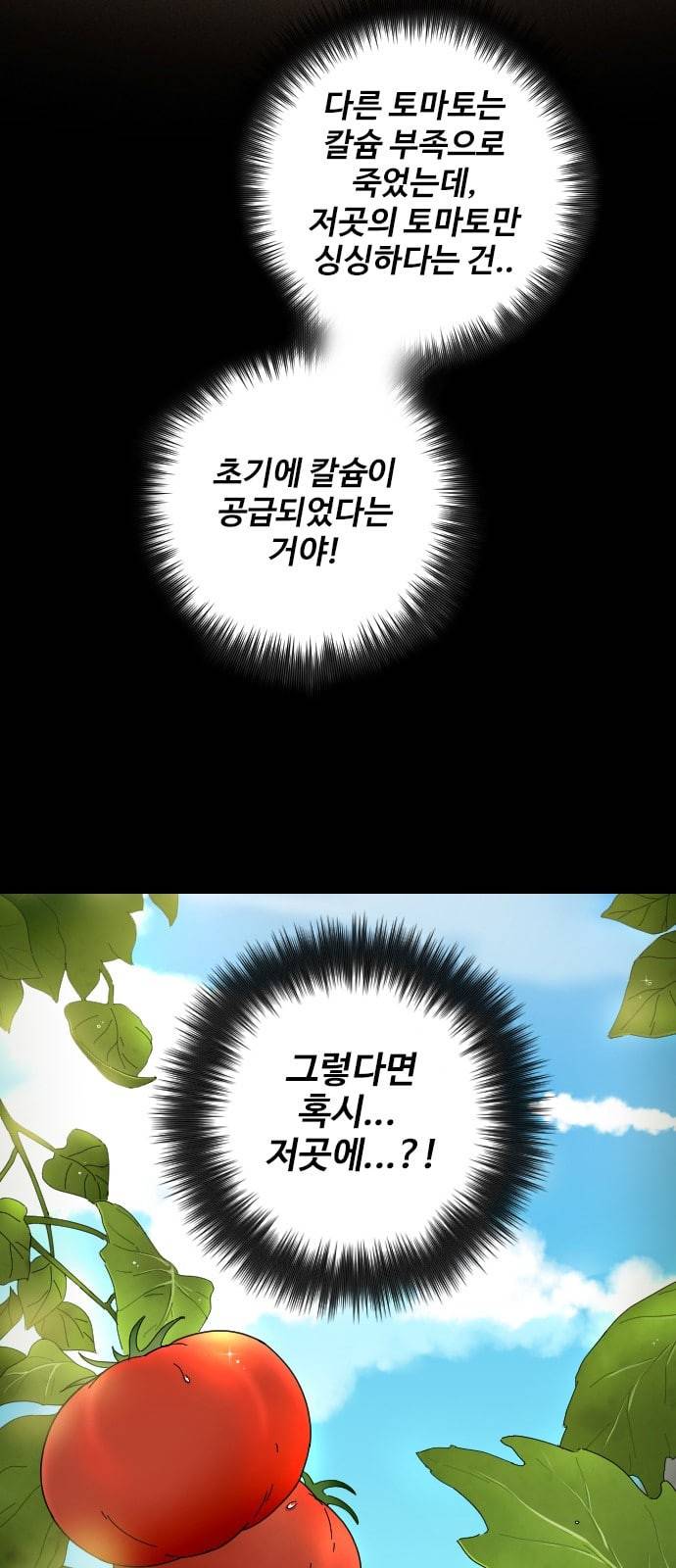 텃밭부 사건일지 7화 핏방울 같은 토마토가 뚝뚝 2 4