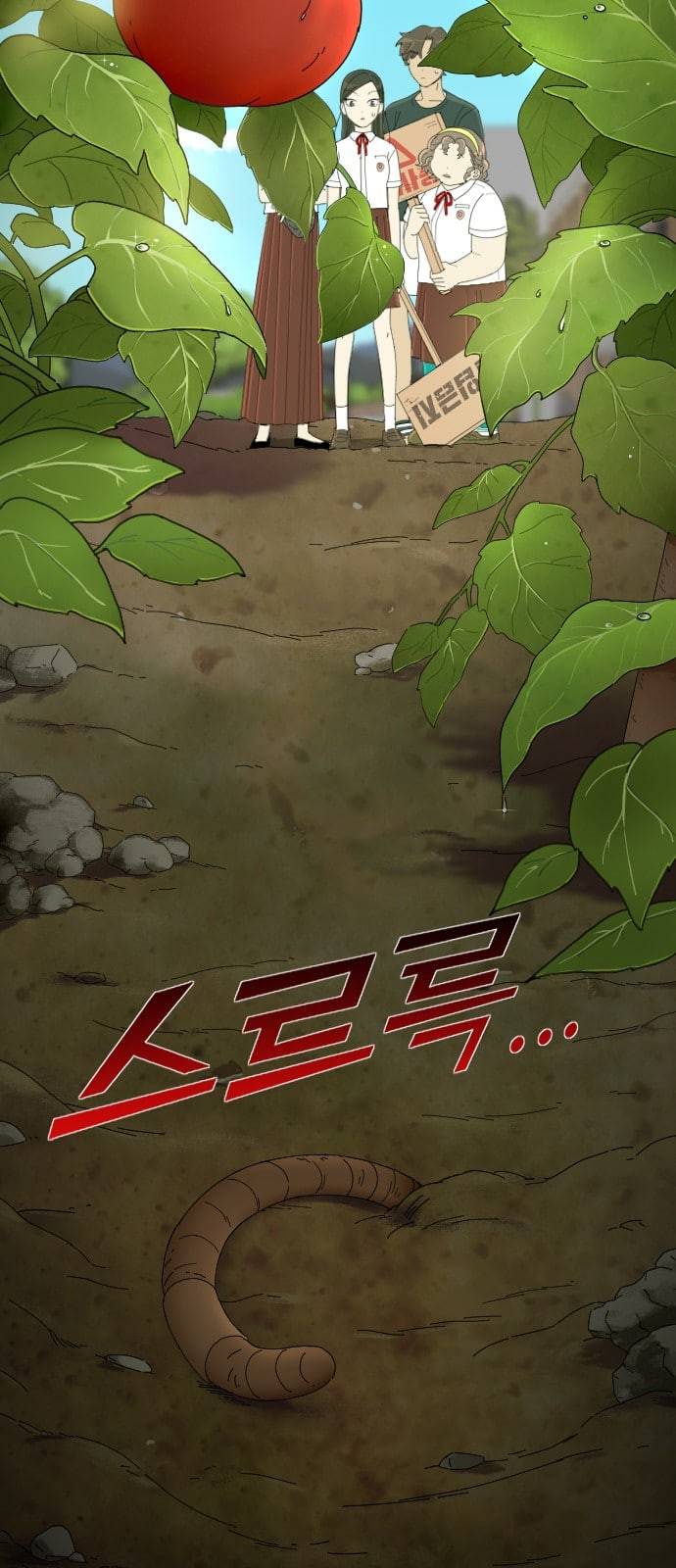 텃밭부 사건일지 7화 핏방울 같은 토마토가 뚝뚝 2 5