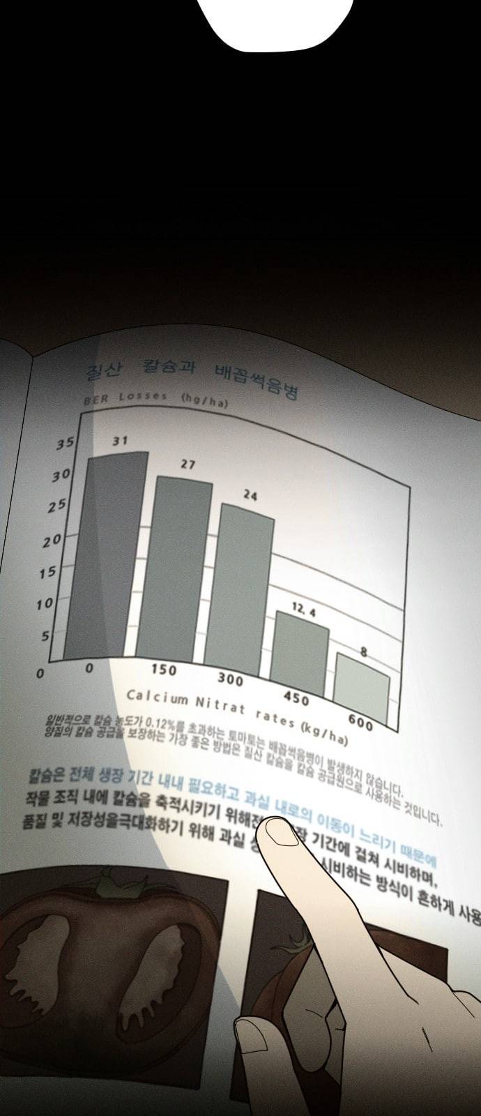 텃밭부 사건일지 7화 핏방울 같은 토마토가 뚝뚝 2 15