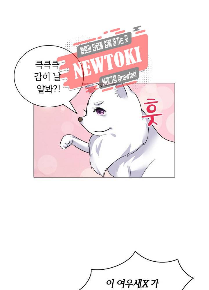 황비는 여우해  4화 26