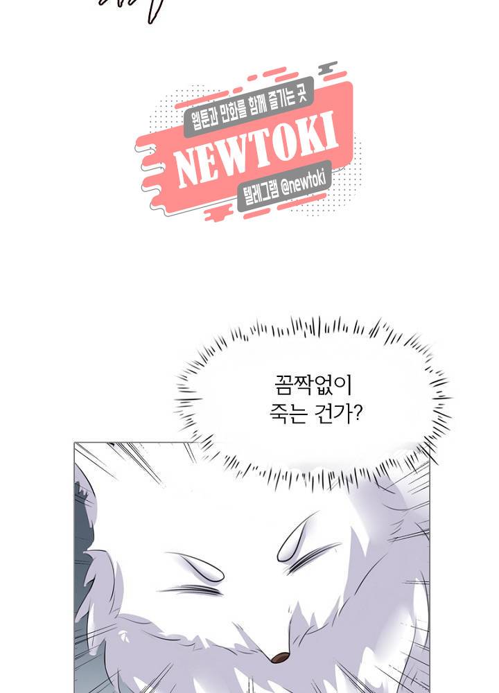 황비는 여우해  4화 43